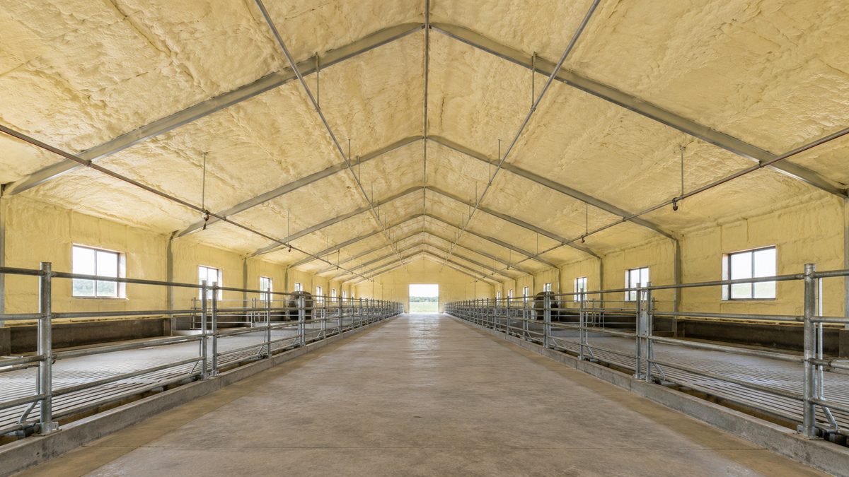 Finished spray-foam insulated livestock barn interior