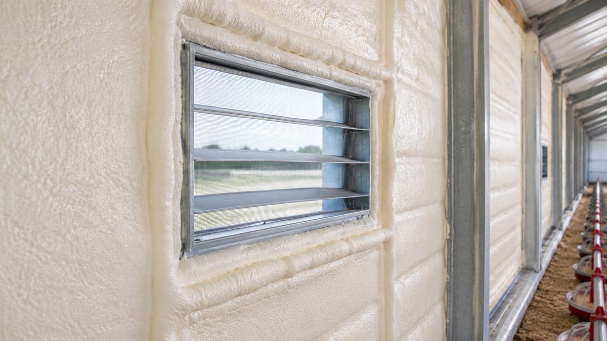 500,000-Bird Poultry House Insulation · Almaty Region — on-site view 1