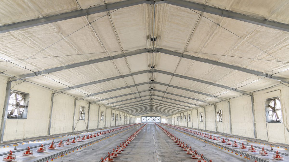 Poultry House Insulation