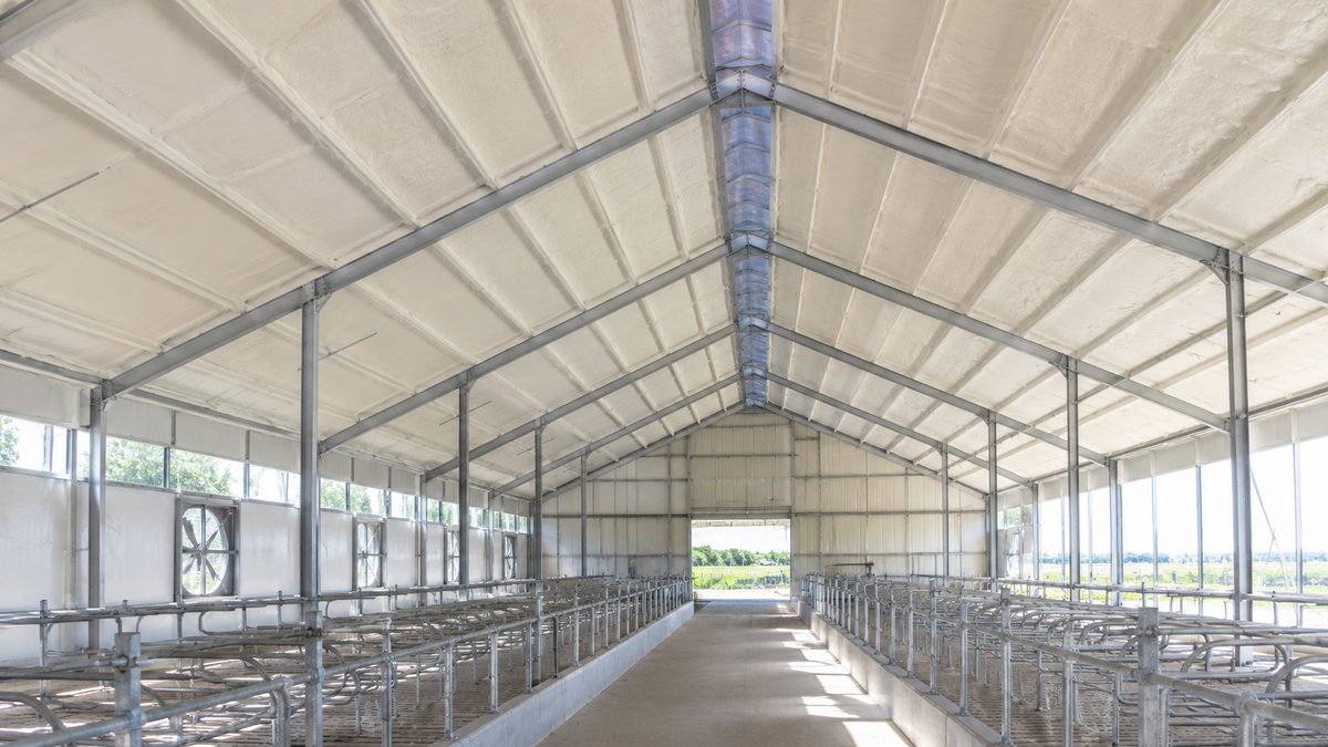 6,000-Head Dairy Cattle Barn Insulation · Volgograd